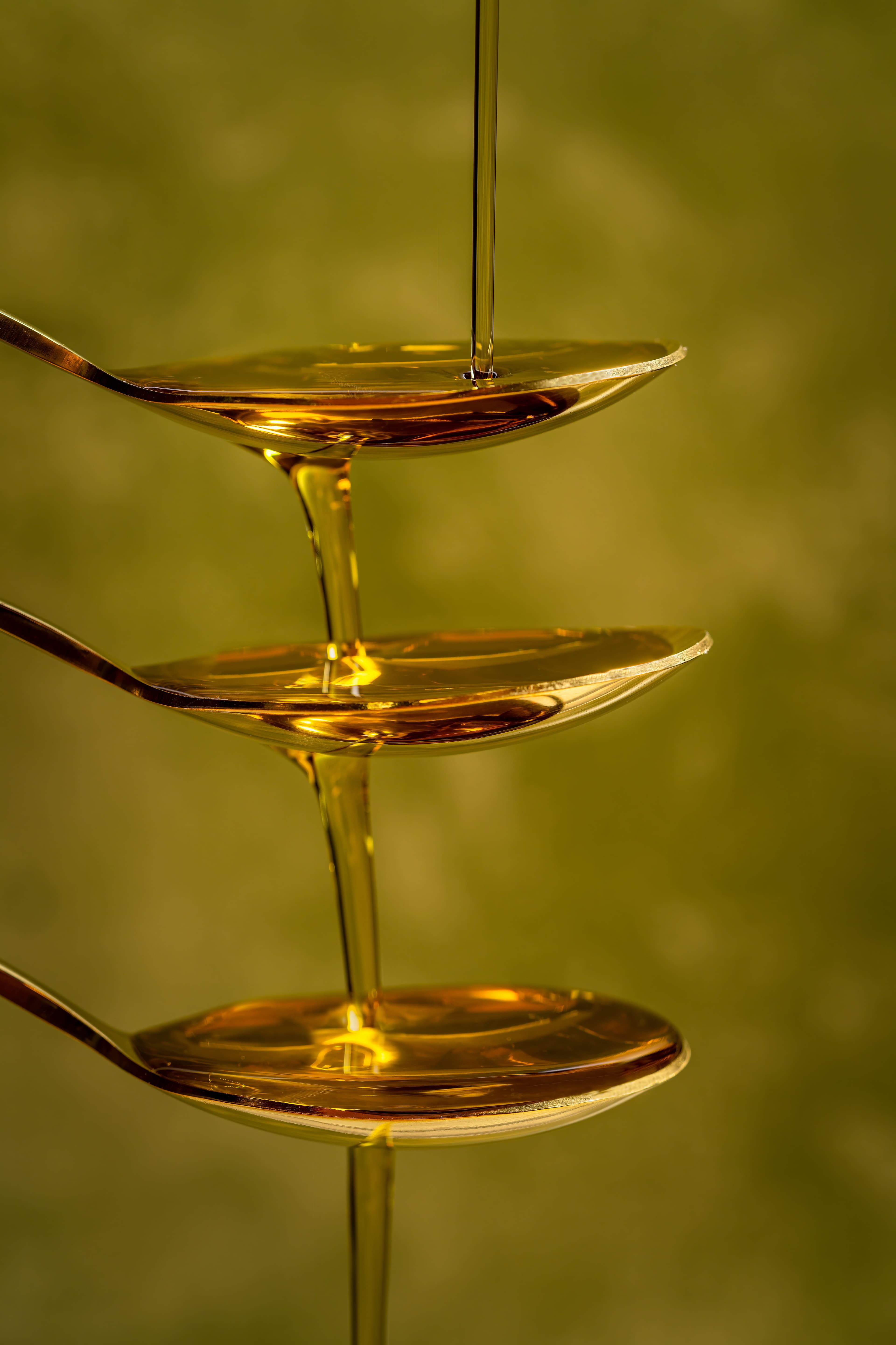 Sunflower oil