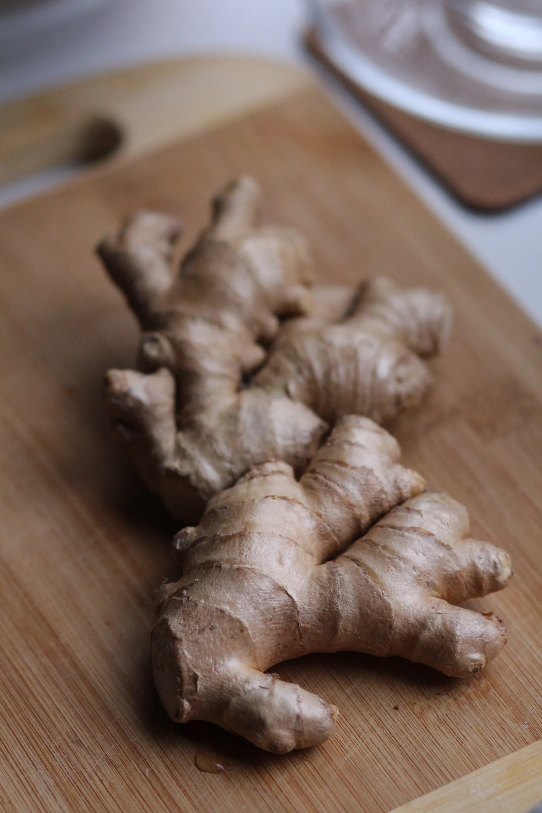 Galangal