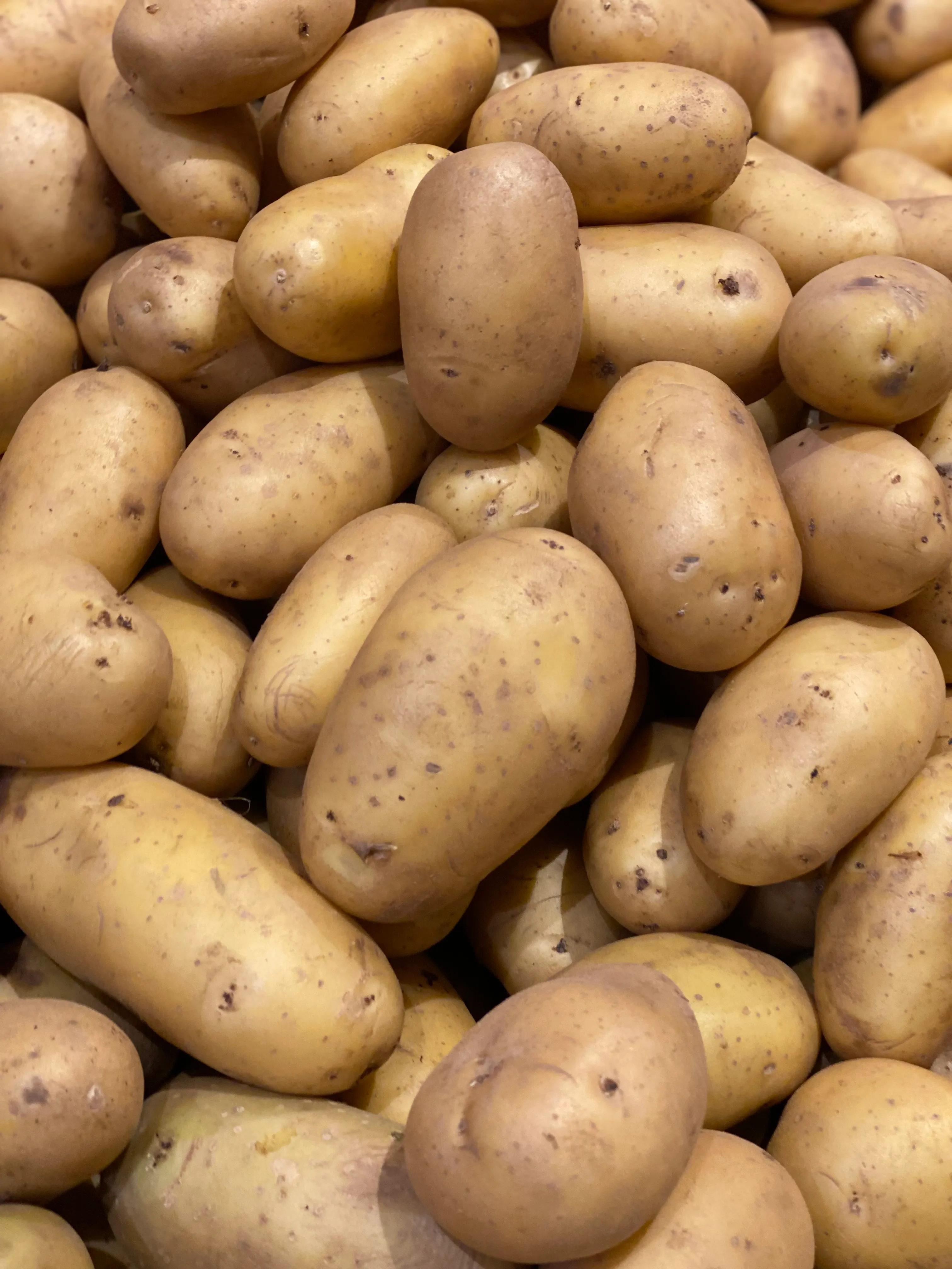 Potato