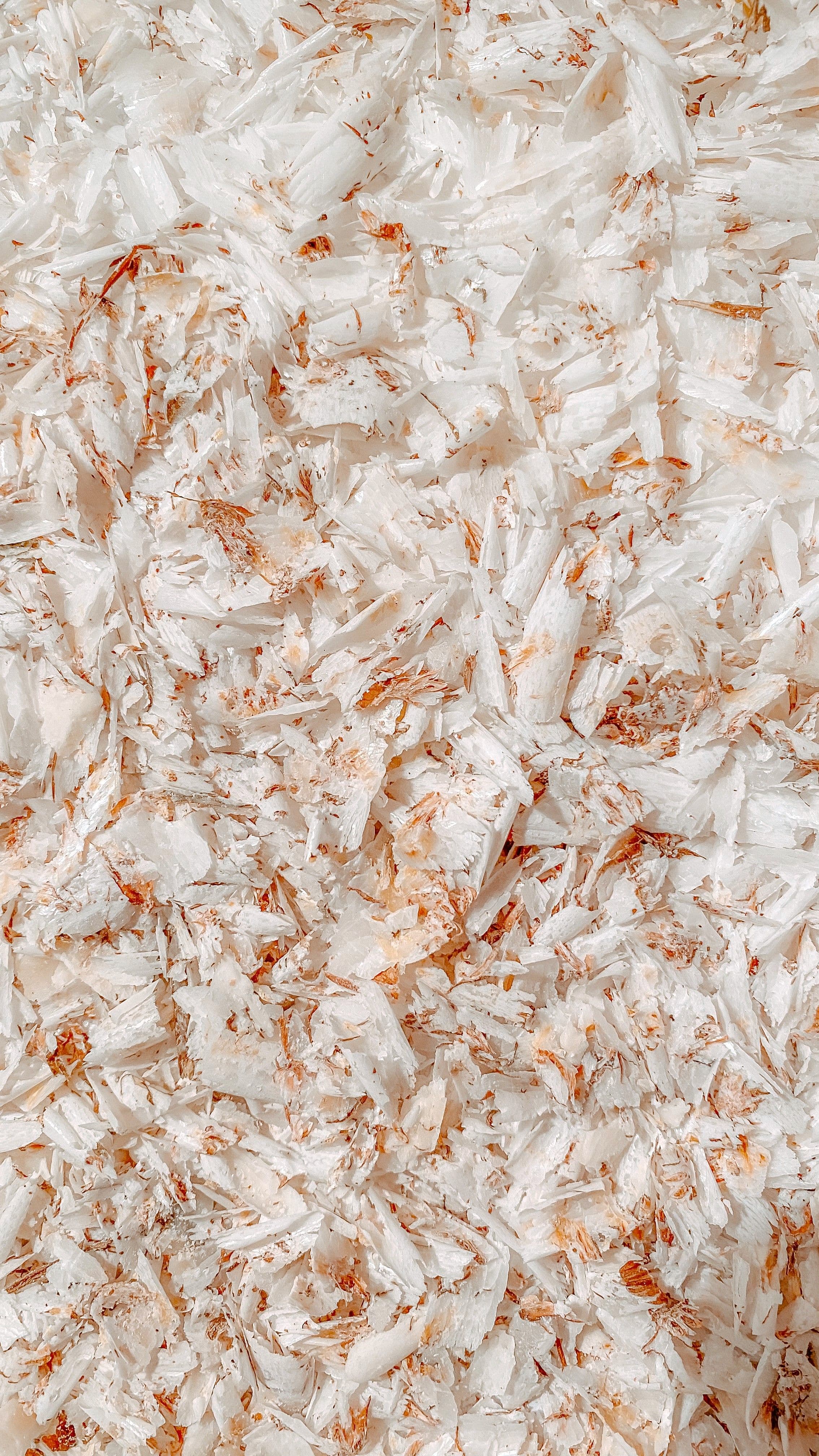 Dried coconut chips