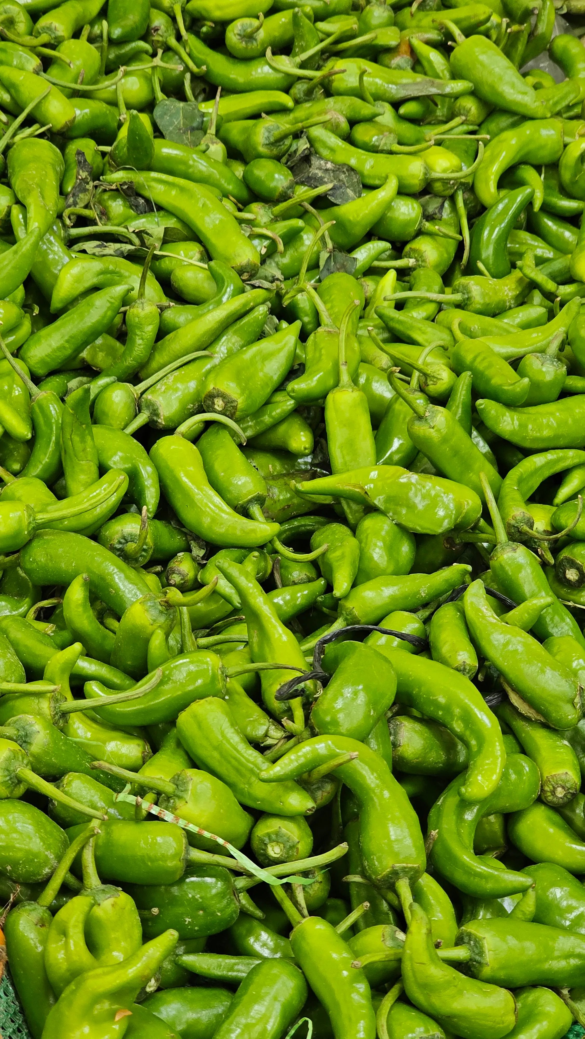 Green chiles