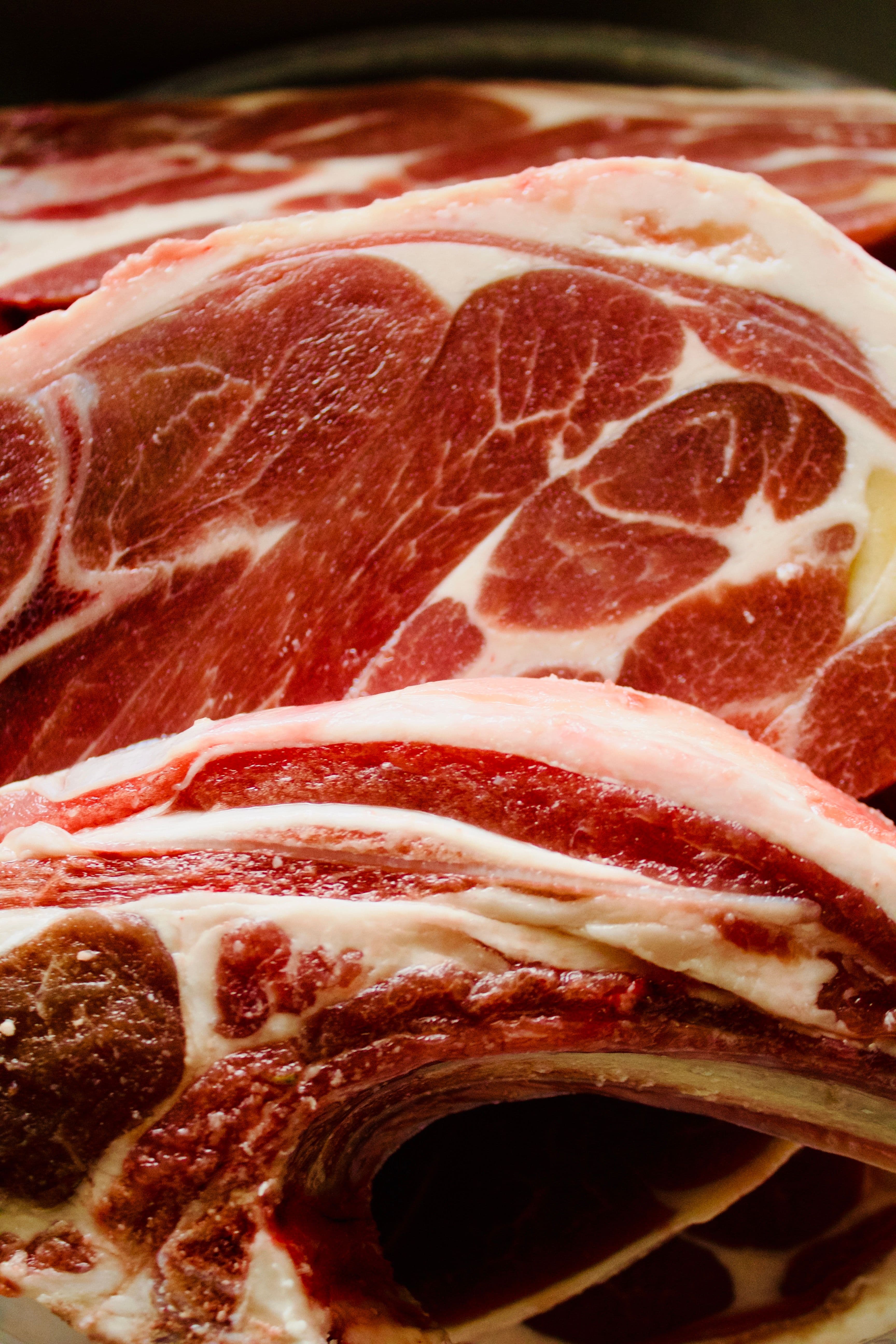 Lamb