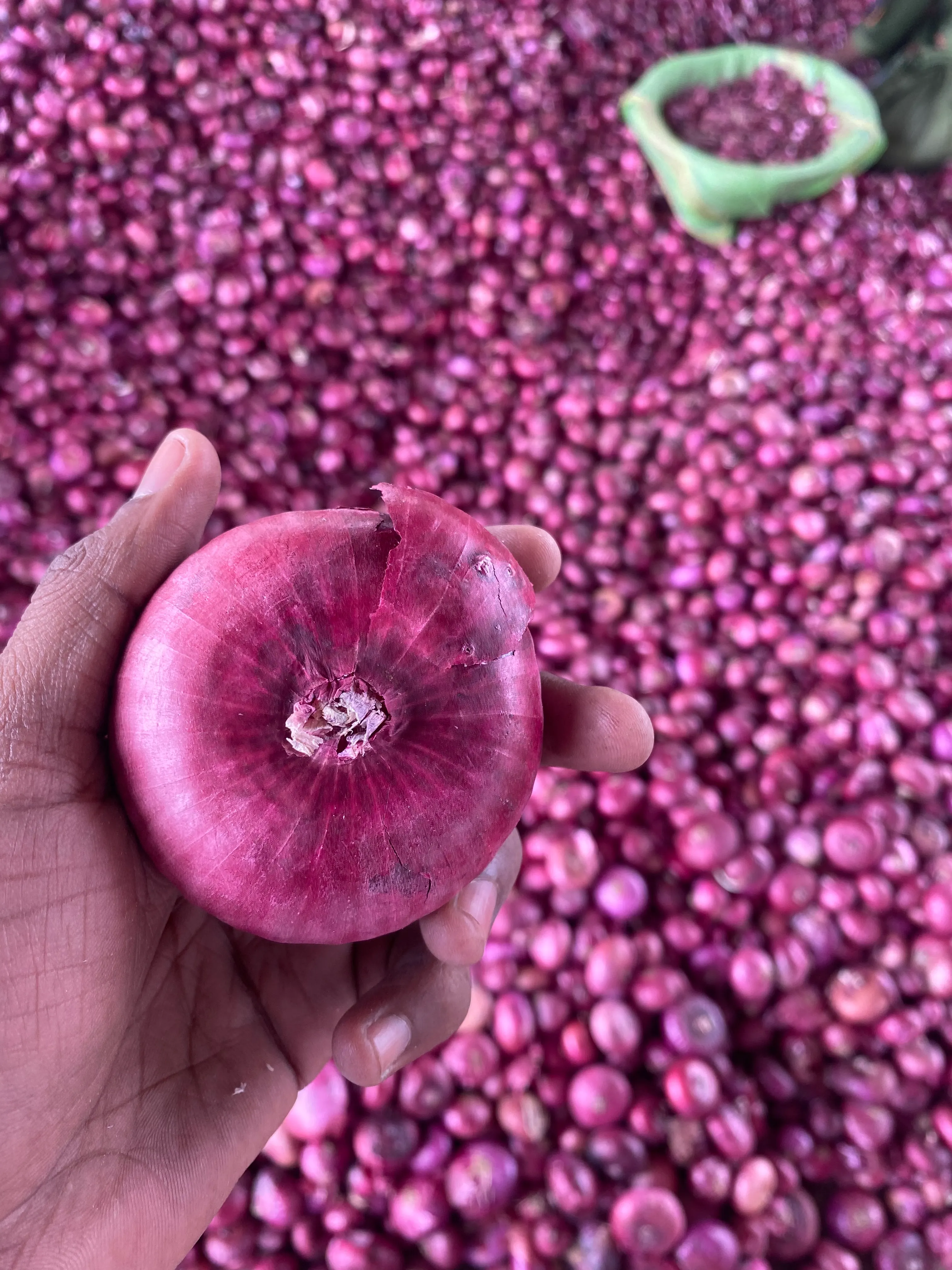 Red onion