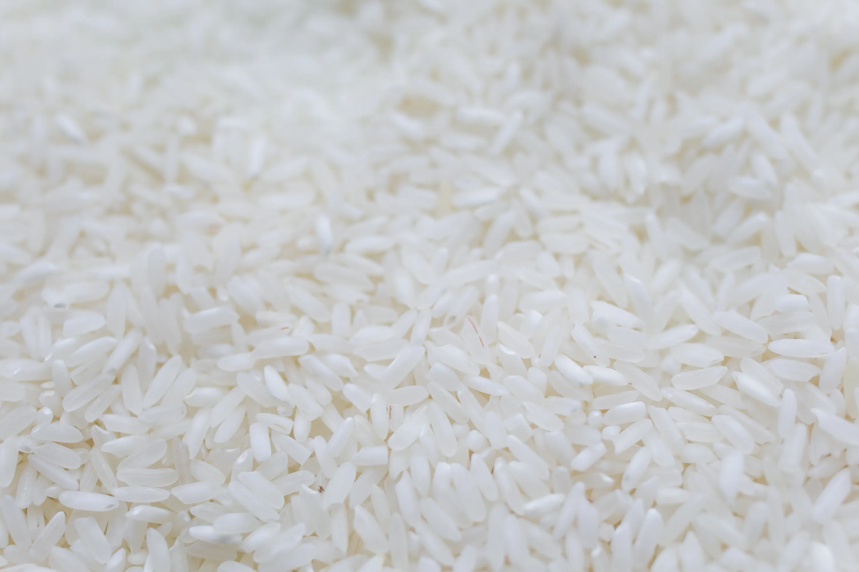 Glutinous rice