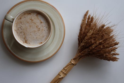 Cream of wheat