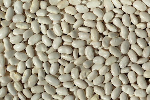 Great Northern beans